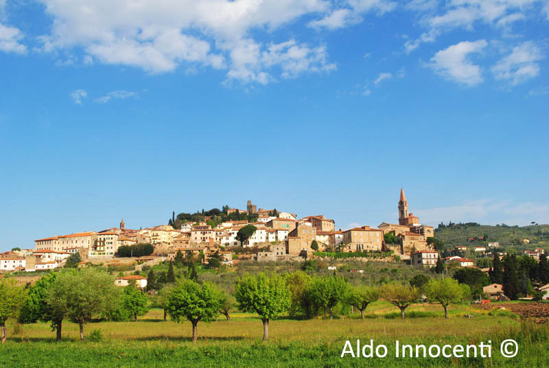 CASTIGLION FIORENTINO: PANORAMA 2' IMMAGINE